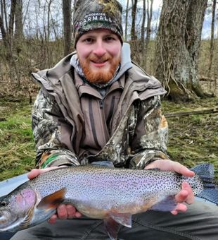 Rainbow Trout in Arkansas