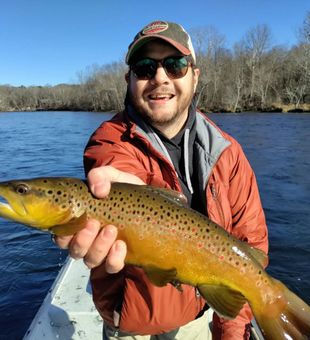 Brown Trout in Heber Springs