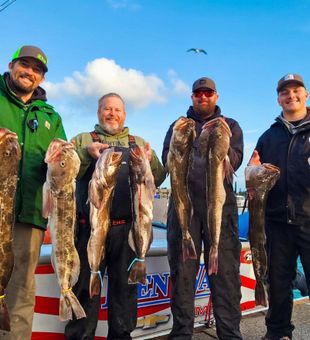 Epic cod fishing haul offshore success