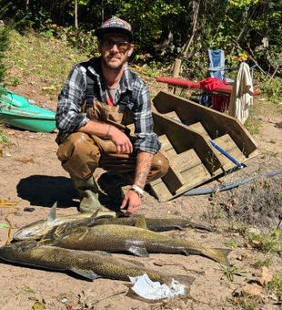 Hesperia MI Chinook salmon success!