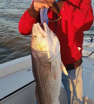 Reeling in coastal favorites in Galveston