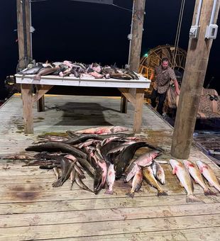 Grand Isle, LA - Night Run Madness
