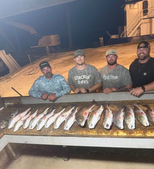 Grand Isle redfish delivering the goods!