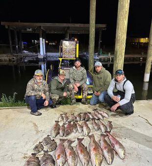 Redfish is thriving here in South Louisiana!