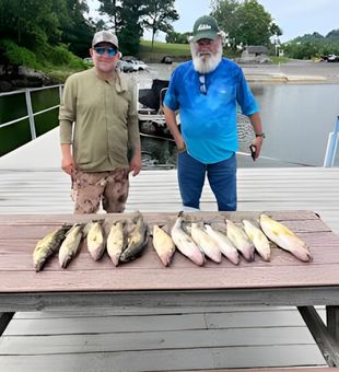 Casting lines in Eureka Springs waters