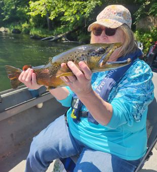 Beautiful Atlantic salmon caught in Eureka Springs Arkansas!
