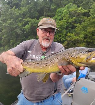 Beautiful brown trout from Eureka Springs Arkansas waters!