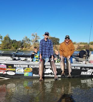 Family catch – King Salmon on Sacramento River!