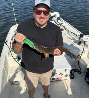 Solid redfish on an inshore fishing charter