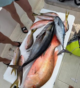 Mixed mutton snapper and tuna catch in the Lower Keys