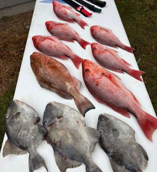 Saltwater fishing Panama City Beach trip