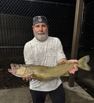 Summer walleye fishing trip in Erie, PA with scenic lake views