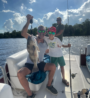 Naples Florida black drum caught using light tackle!