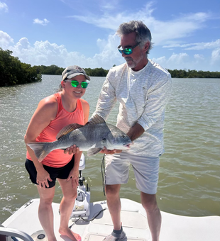 Massive black drum landed in Naples Florida waters!