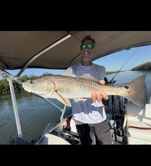 Beautiful Naples Florida redfish caught on light tackle!