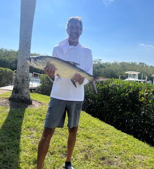 Massive Naples tarpon makes for an epic catch!