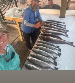 Epic speckled trout haul!