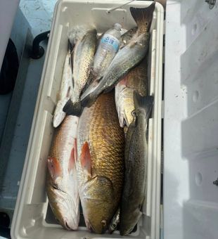 Loaded cooler!