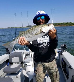 Chasing the trophy catch on Texoma waters