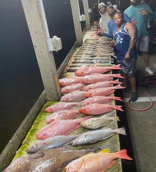 Venice, LA: Angler's delight!