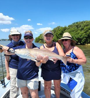 Top-rated Tampa Bay bay Family fishing trips