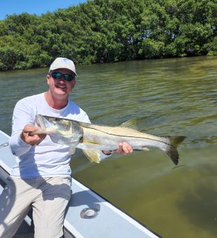 Affordable Tampa Bay snook fishing charters
