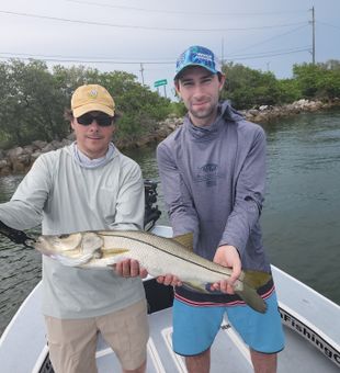 Private inshore snook fishing charter Tampa Bay