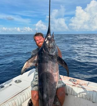 Massive swordfish landed! 🎣💥