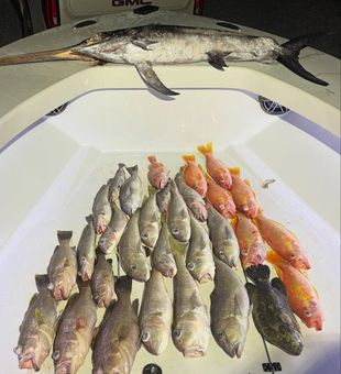 Pensacola waters never disappoint.