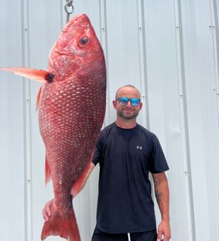 Beautiful red snapper from Pensacola Beach waters!