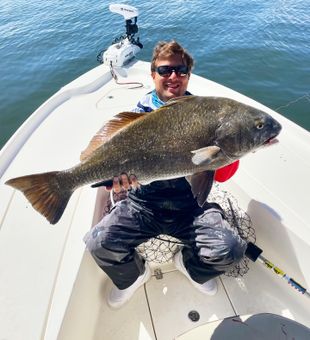 Heavy Black Drum on deck