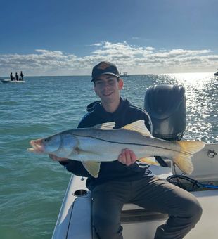 Solid Snook in the morning sun!