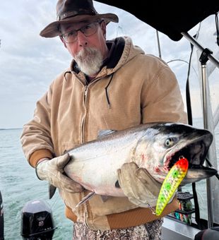Beautiful Dunnville Chinook salmon with bright lure attached!