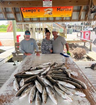 St. Bernard don't disappoint on Fish!