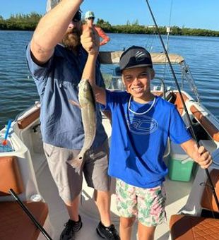 Discover endless Sarasota delights.