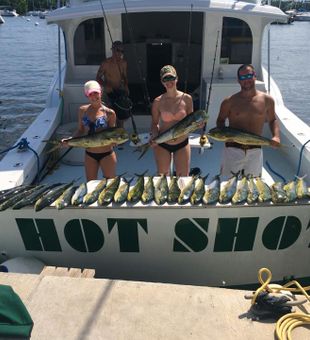 Mahi Mahi's Vibrant Display