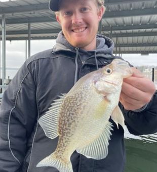 White crappie fishing in MO
