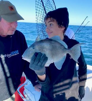 Nice Grey Triggerfish from Norfolk VA waters!