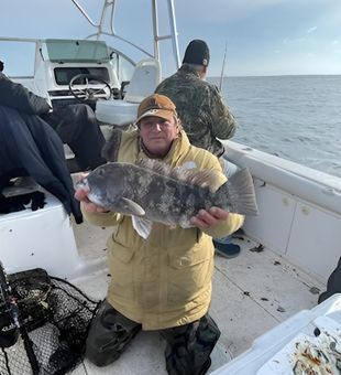 Big tautog offshore catch