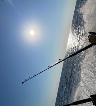  Deep sea fishing Hilton Head