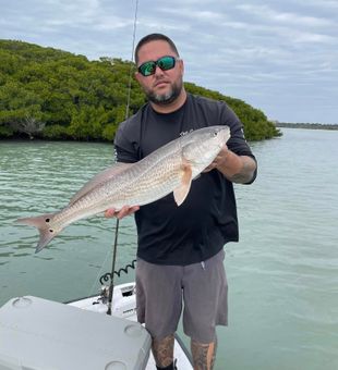 Redfish catch spring bite season.