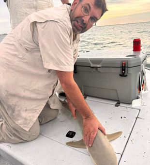 Wild catch—hands-on with a Florida shark!