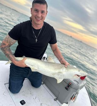 Powerful catch on this Florida shark fishing trip!