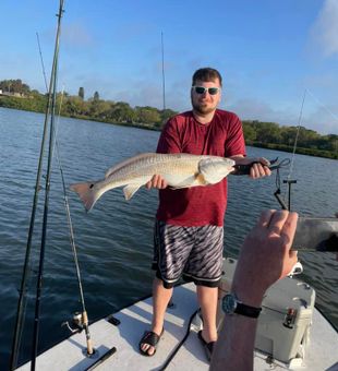Impressive Redfish catch on Tampa Bay!