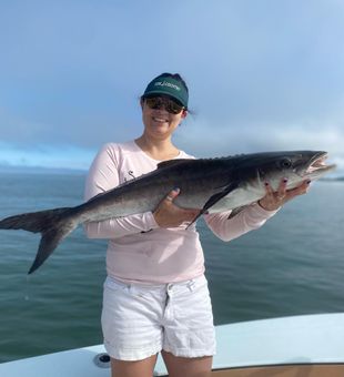 Cobia fishing in Okatie, SC