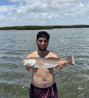 Texas Redfish