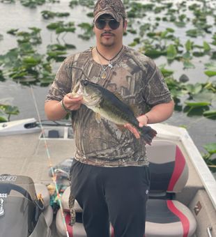 Big catch of the day!