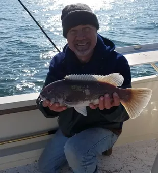 Nice black seabass from a Cape May fishing charter