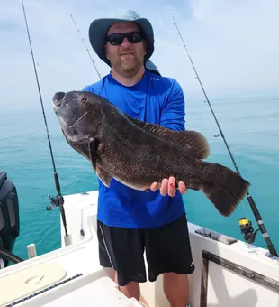 Solid black seabass on a Cape May fishing charter