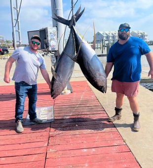 Tuna catch in calm seas